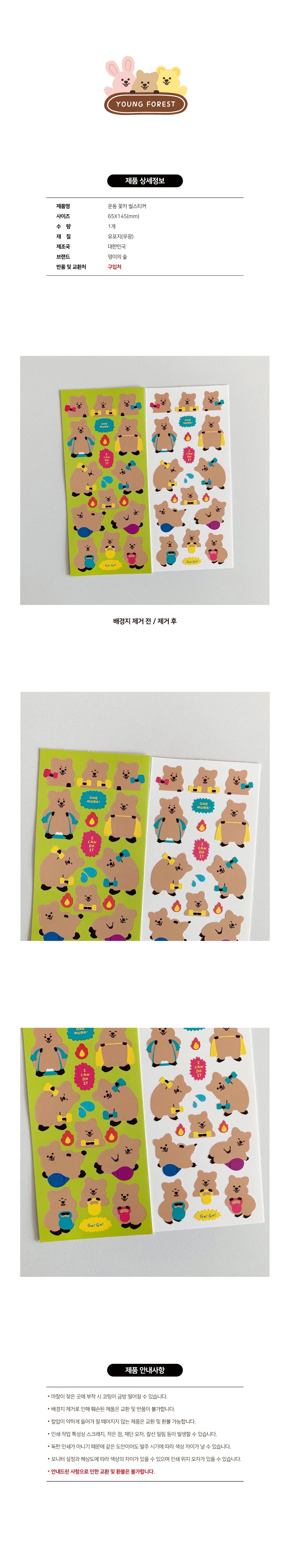Young forest exercise bear sticker(pre order)