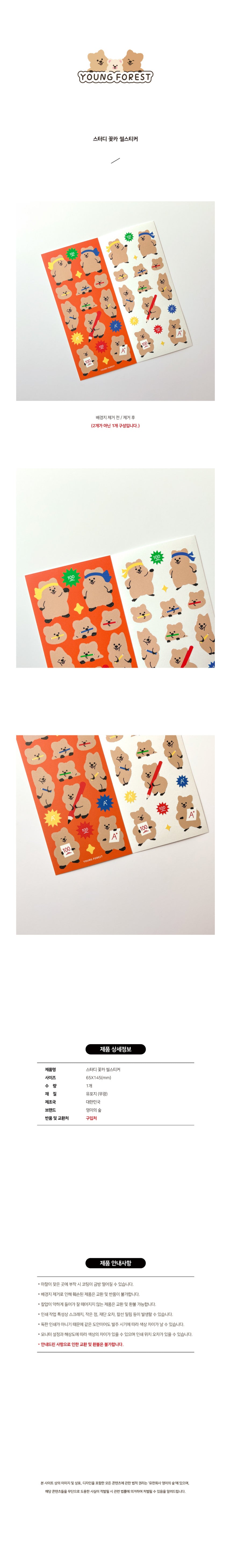 Young forest study bear sticker(pre order)